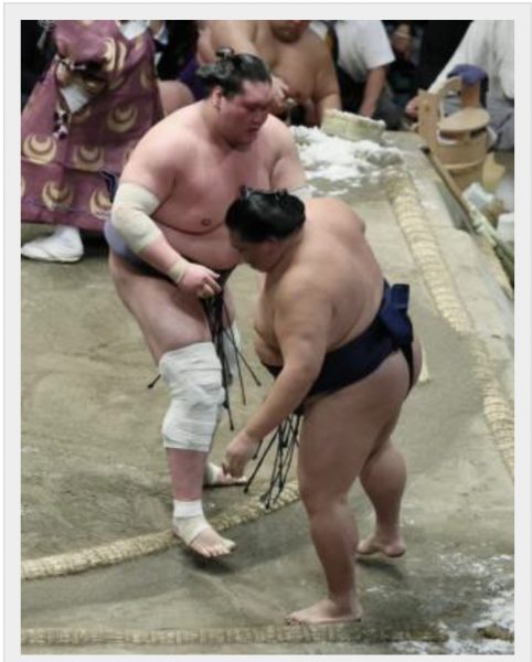 lets-think-again-what-is-ozeki-one-hundred-views-of-tetsuji-wakabayashis-dohyo-1653532837-1.png