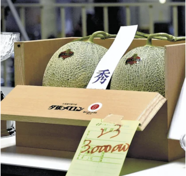 yubari-melon-which-is-rarely-seen-in-recent-years-won-a-successful-bid-for-2-balls-for-3-million-yen--free-offer-to-100-people-1653620322-1.png