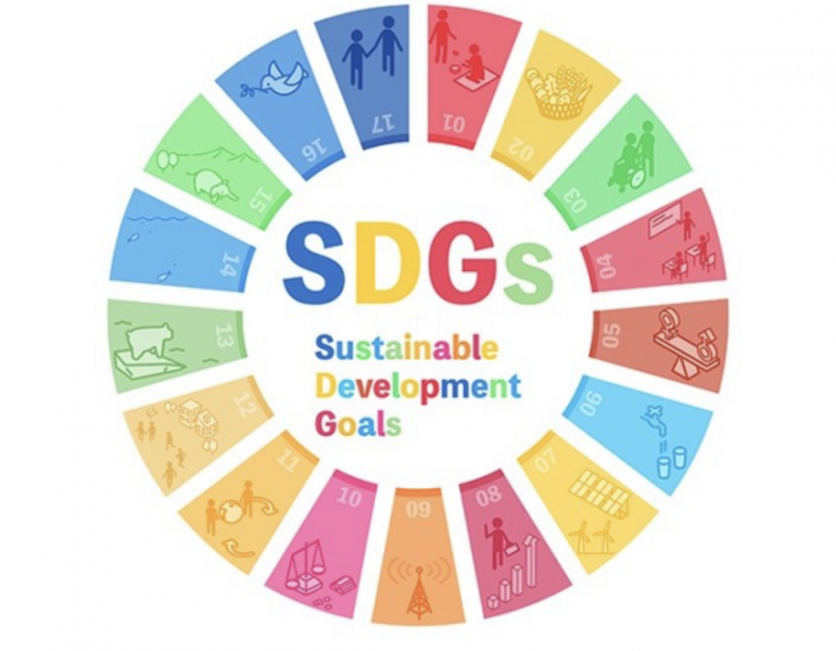 the-recognition-rate-of-the-sdgs-is-82-and-what-is-the-awareness-of-cooperation-with-the-17-goals-2022-survey-on-the-sdgs-1656891249-1.png