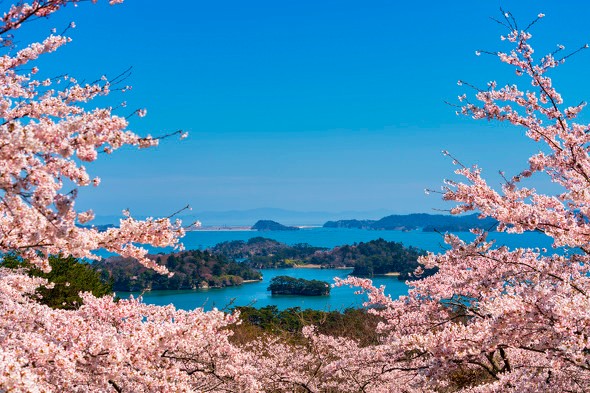 acha-tourists-get-off-at-matsushima-station-to-see-japans-three-most-scenic-spots-matsushima-for-some-reason-the-locals-are-extremely-nervous-1712795973.jpg