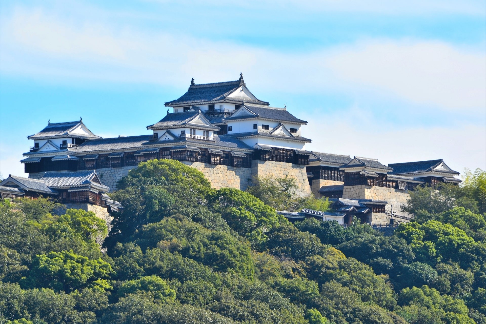 selected-by-residents-of-kansai-chugoku-and-shikoku-ranking-of-ehime-prefecture-souvenirs-sweets-that-you-should-buy-2nd-place-is-poem-mother-megumi-honpo-1st-place-1715818501.jpg