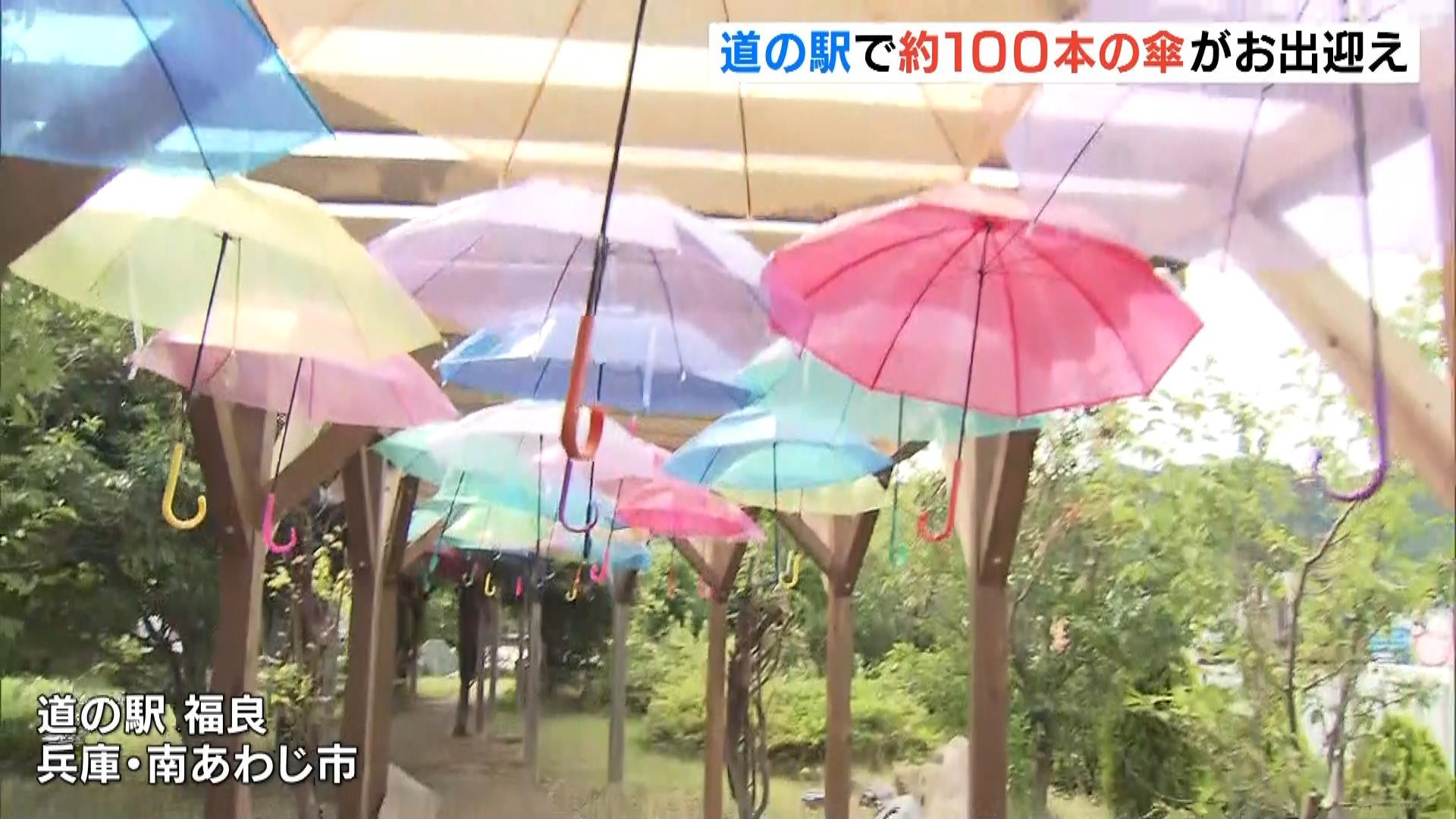 approximately-100-colorful-umbrellas-at-the-roadside-station-welcome-passengers-on-the-uzushio-cruise-hyogoawaji-island-1719186509.jpg