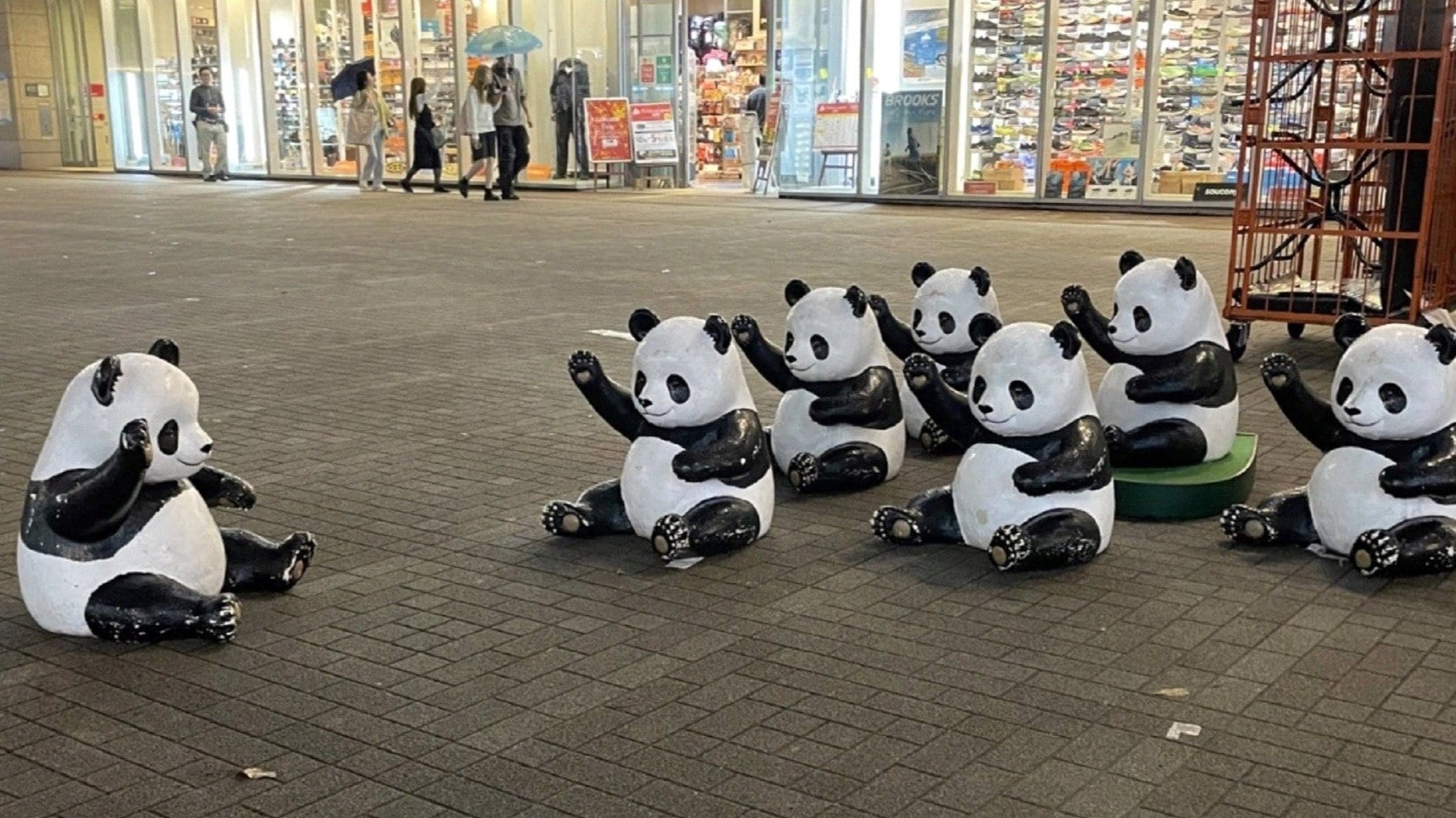 planning-to-invade-the-city-the-truth-behind-the-strange-panda-statues-that-move-on-their-ownhow-many-in-total-are-there-1730156821.jpg