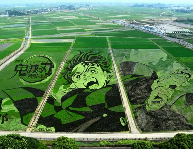 demon-slayer-tanjiro-clark-rice-fields-art-will-soon-be-in-full-bloom-saitama-1752105467.jpg