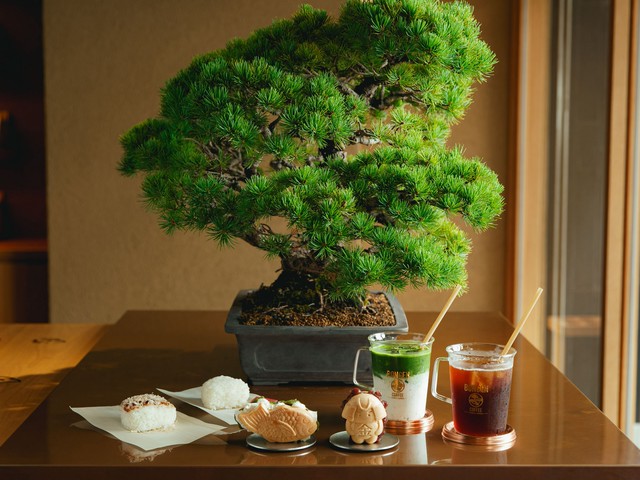 5-bonsai-cafes-in-tokyo-1756425593.jpg