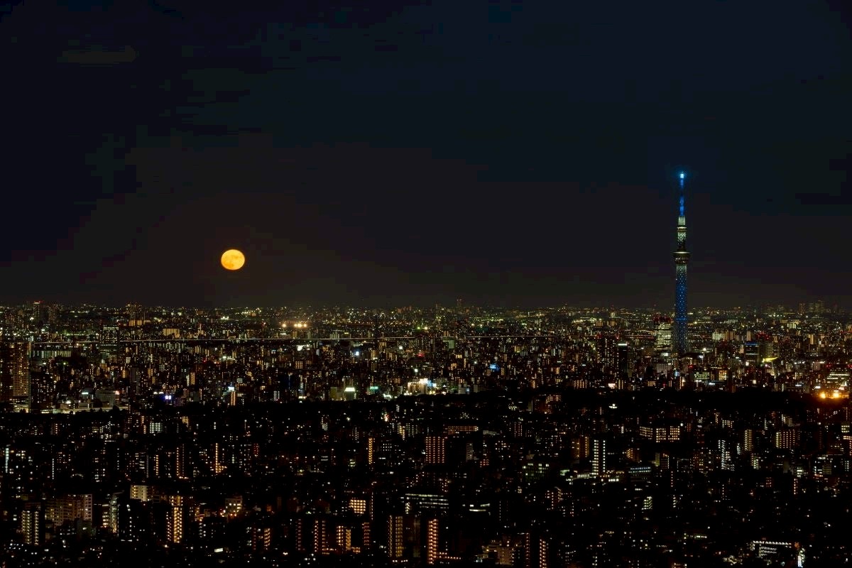 moon-viewing-in-ikebukuro-mid-autumn-moon-observation-special-event-where-you-can-enjoy-the-mid-autumn-moon-at-the-sunshine-60-observation-deck-1758498848.jpg