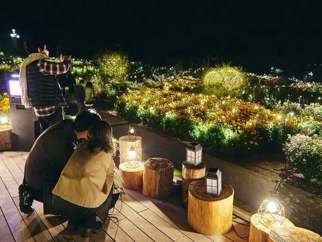 ibaraki-flower-park-hosts-an-experiential-illumination-event-featuring-autumn-roses-and-marigolds-1758843462.jpg