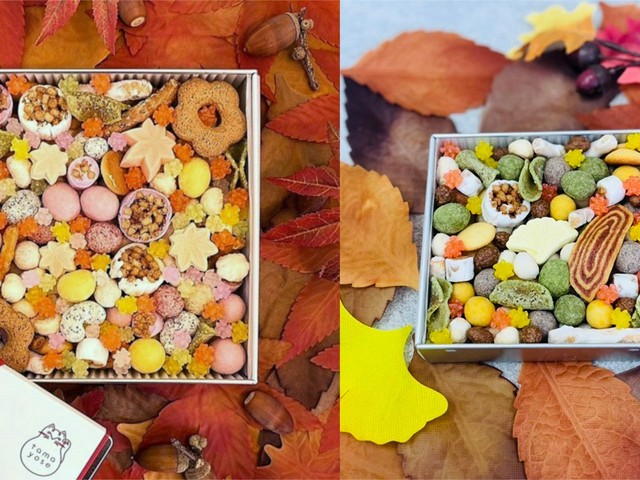 the-colorful-fukiyose-that-expresses-the-autumn-atmosphere-is-now-available-from-the-japanese-modern-japanese-confectionery-brand-tamayose-1759453745.jpg