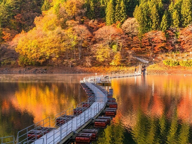 ranking-of-scenic-spots-in-tokyo-that-you-should-visit-at-least-once-in-your-life-which-place-won-the-1st-place-after-the-2nd-place-lake-okutama-1762733630.jpg