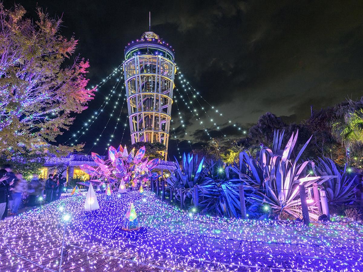 shonan-jewel-lights-up-in-enoshima-a-fantastic-illumination-that-colors-the-winter-night-1764286330.jpg