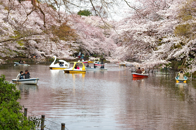 Best Date Spots In Tokyo