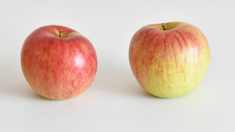 which-apple-is-sweeter-the-reasons-i-was-surprised-to-learn-were-is-that-so-is-there-a-difference-in-appearance-1768779687.jpg